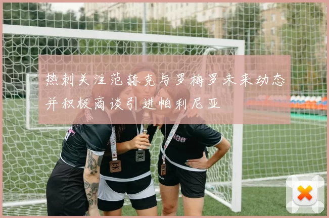 热刺关注范赫克与罗梅罗未来动态并积极商谈引进帕利尼亚